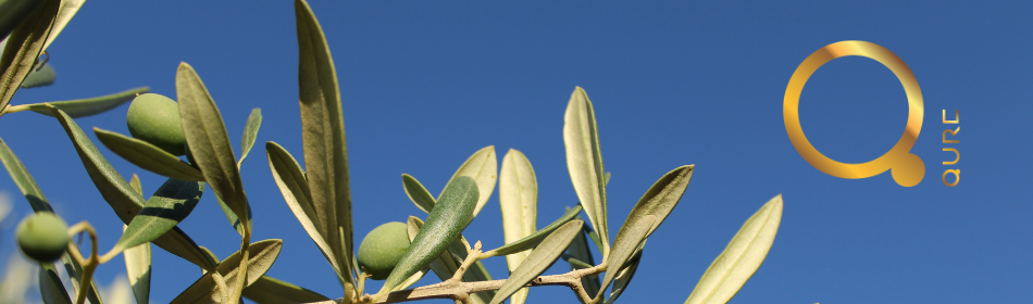 QURE - Kreeka professionaalsed juuksehooldustooted professionaalidele